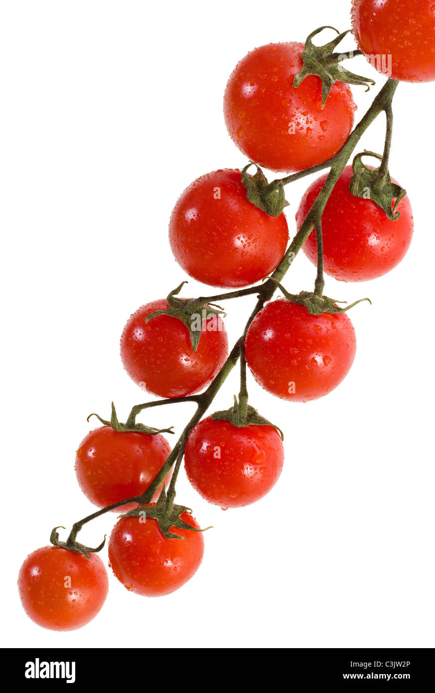 Branch of cherry tomatoes isolated on white background Stock Photo - Alamy