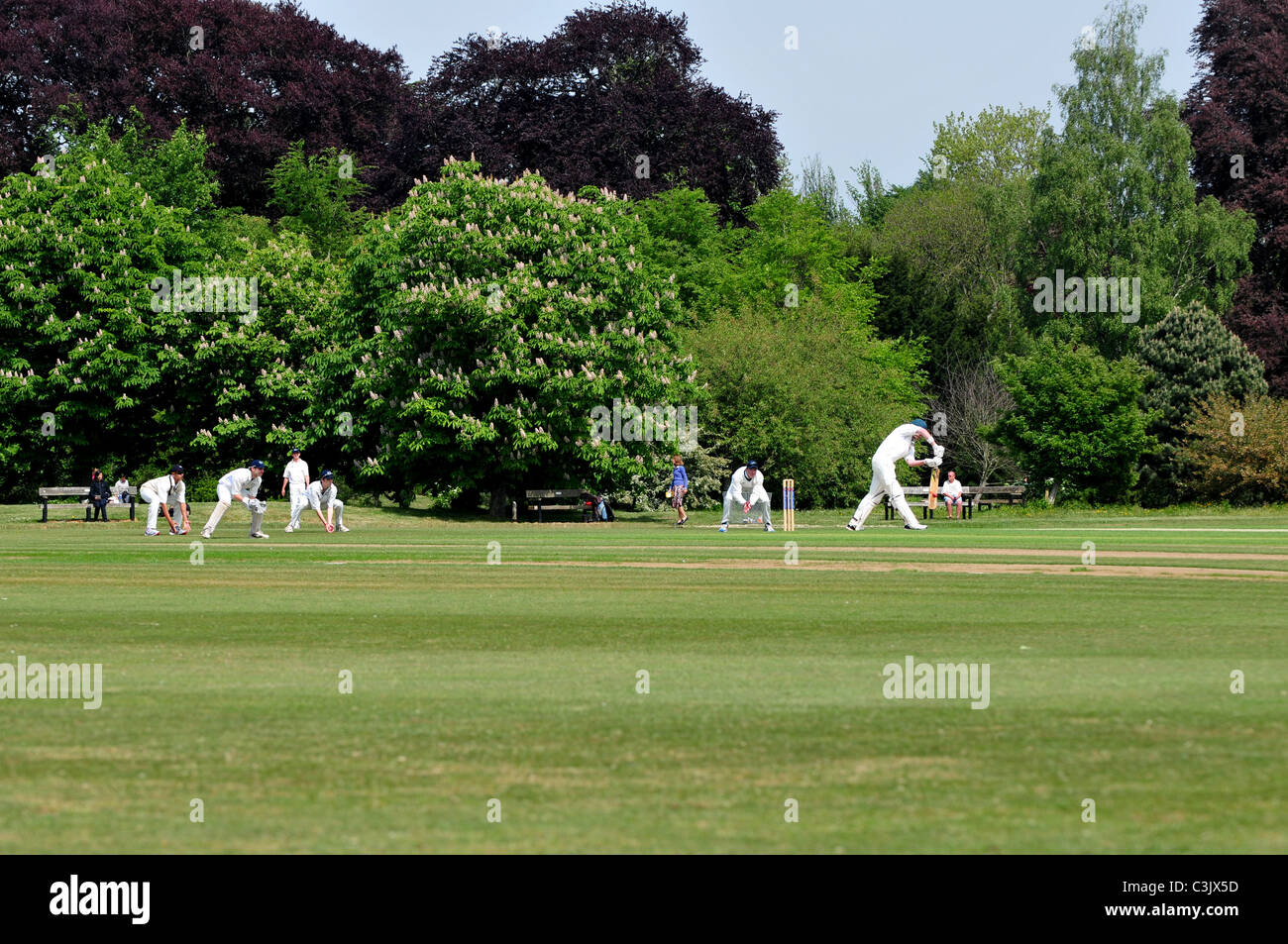 Cricket match in progress at The University Parks, Oxford, Oxfordshire Stock Photo