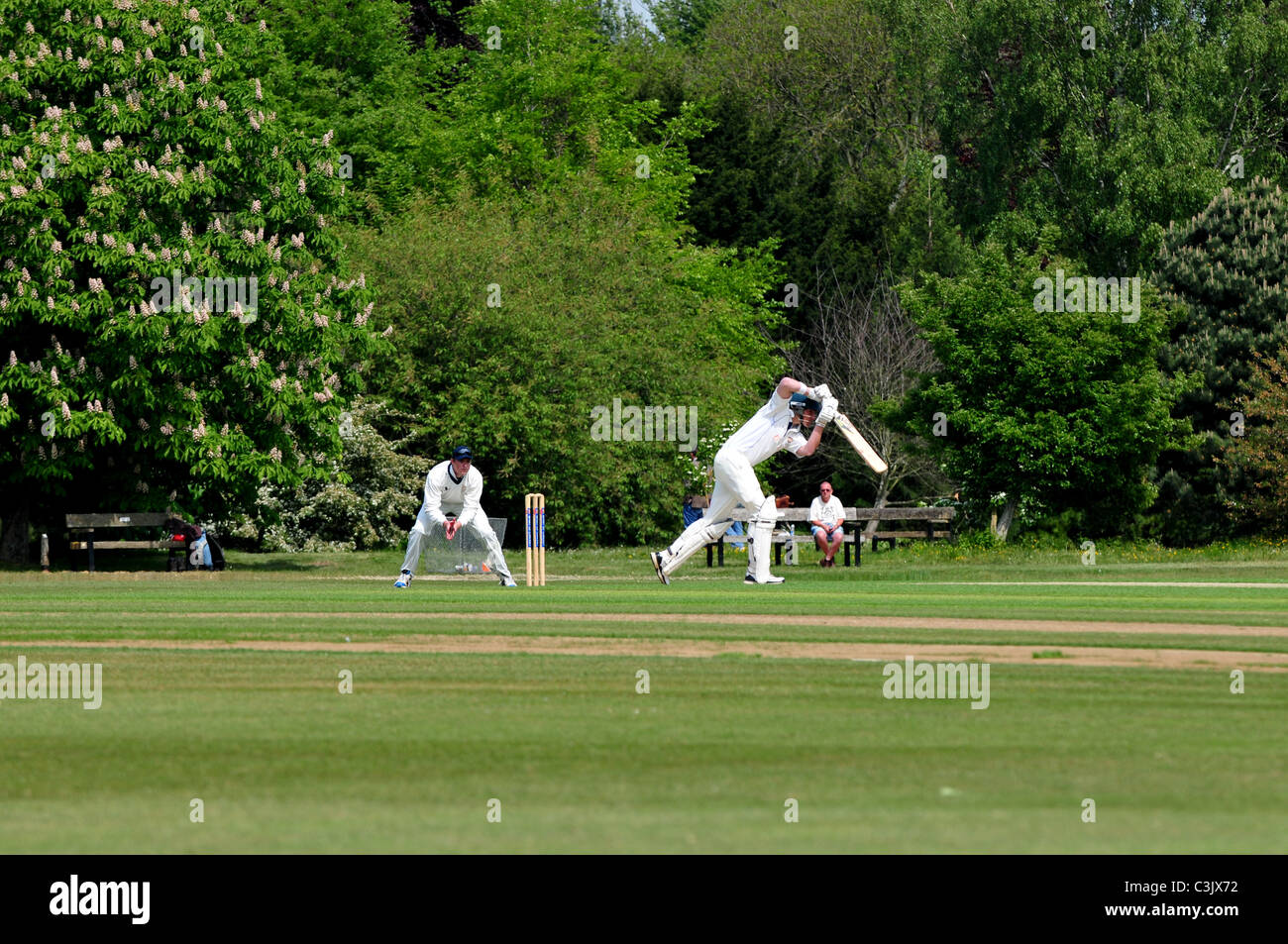 Cricket match in progress at The University Parks, Oxford, Oxfordshire Stock Photo