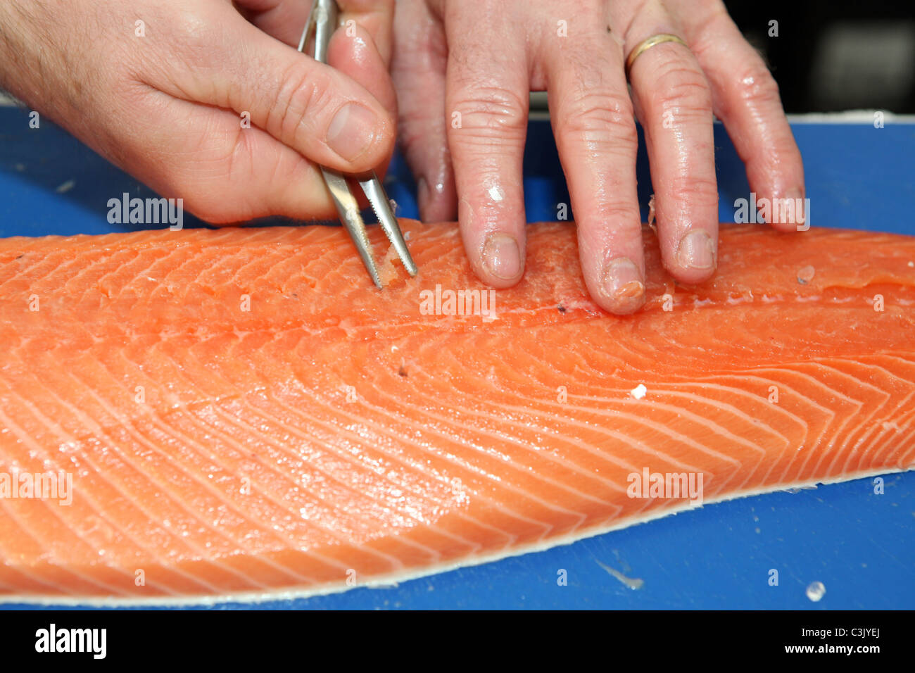 A chef Pinboning a fresh fillet of Scottish salmon. Removing fine bones