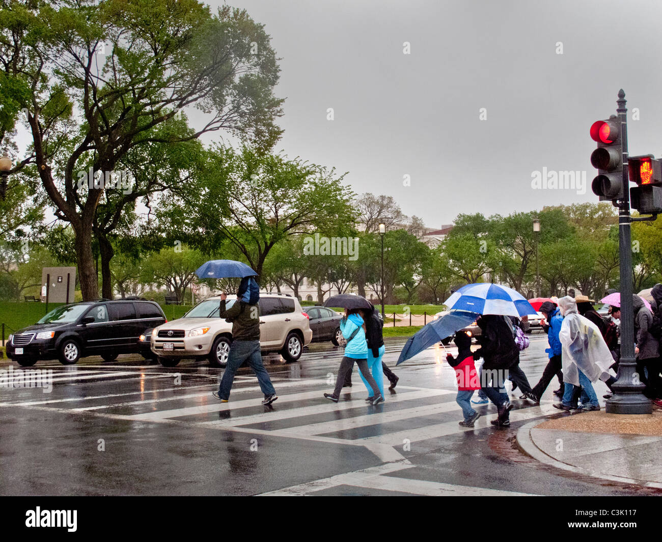 Wearing raincoats and carrying umbrellas, tourists follow a guide on a rainy day on the National Mall in Washington, D.C. Stock Photo