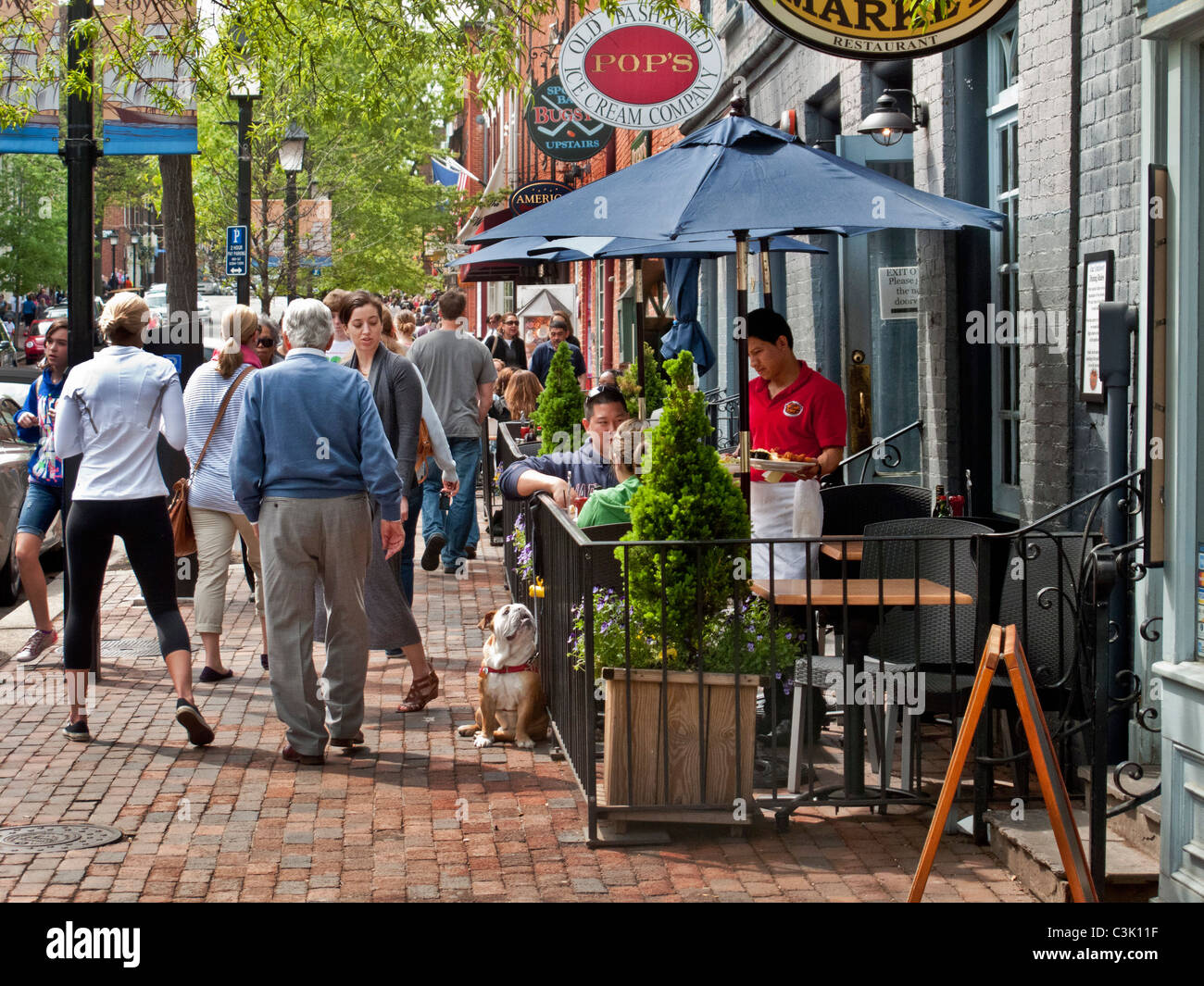 A bulldog joins his owner at an outdoor restaurant table in the