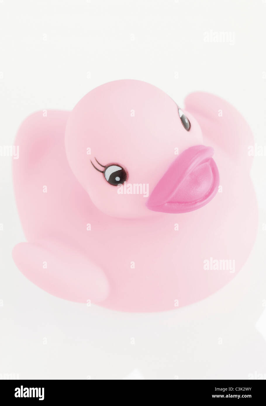 Rubber duck on white background Stock Photo - Alamy