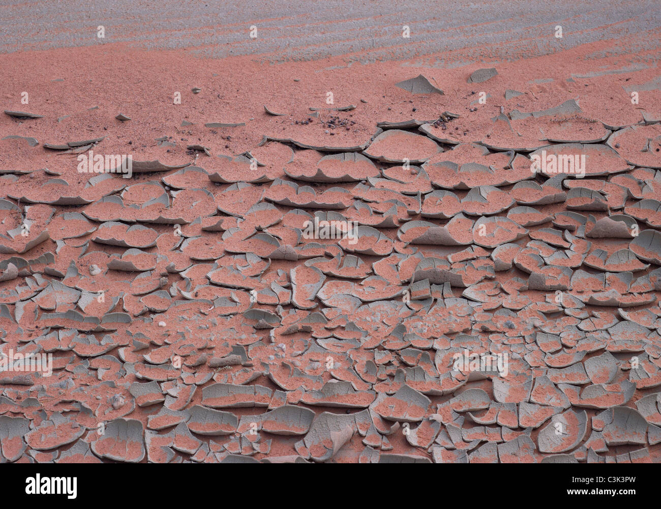 Cracked desert floor hires stock photography and images Alamy