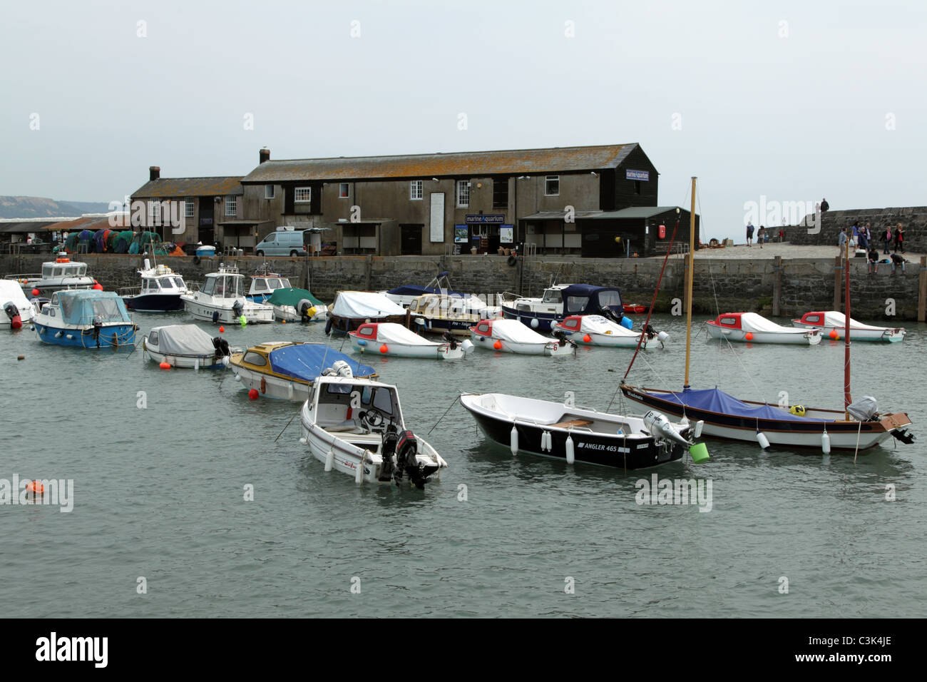 Small fishing and leisure boats moored at Lyme Regis Harbour Stock Photo