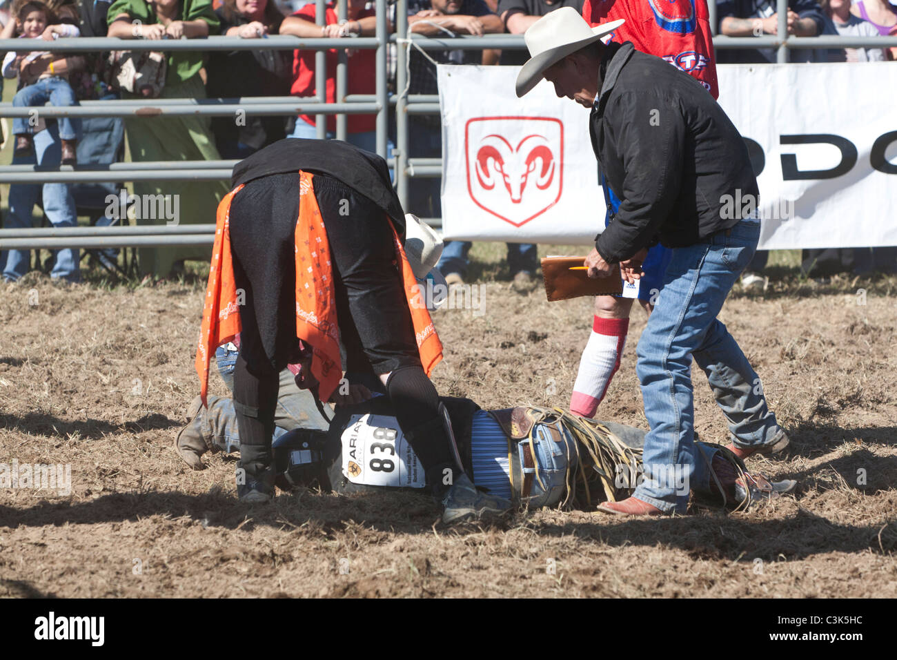 Injured rodeo cowboy Stock Photo Alamy