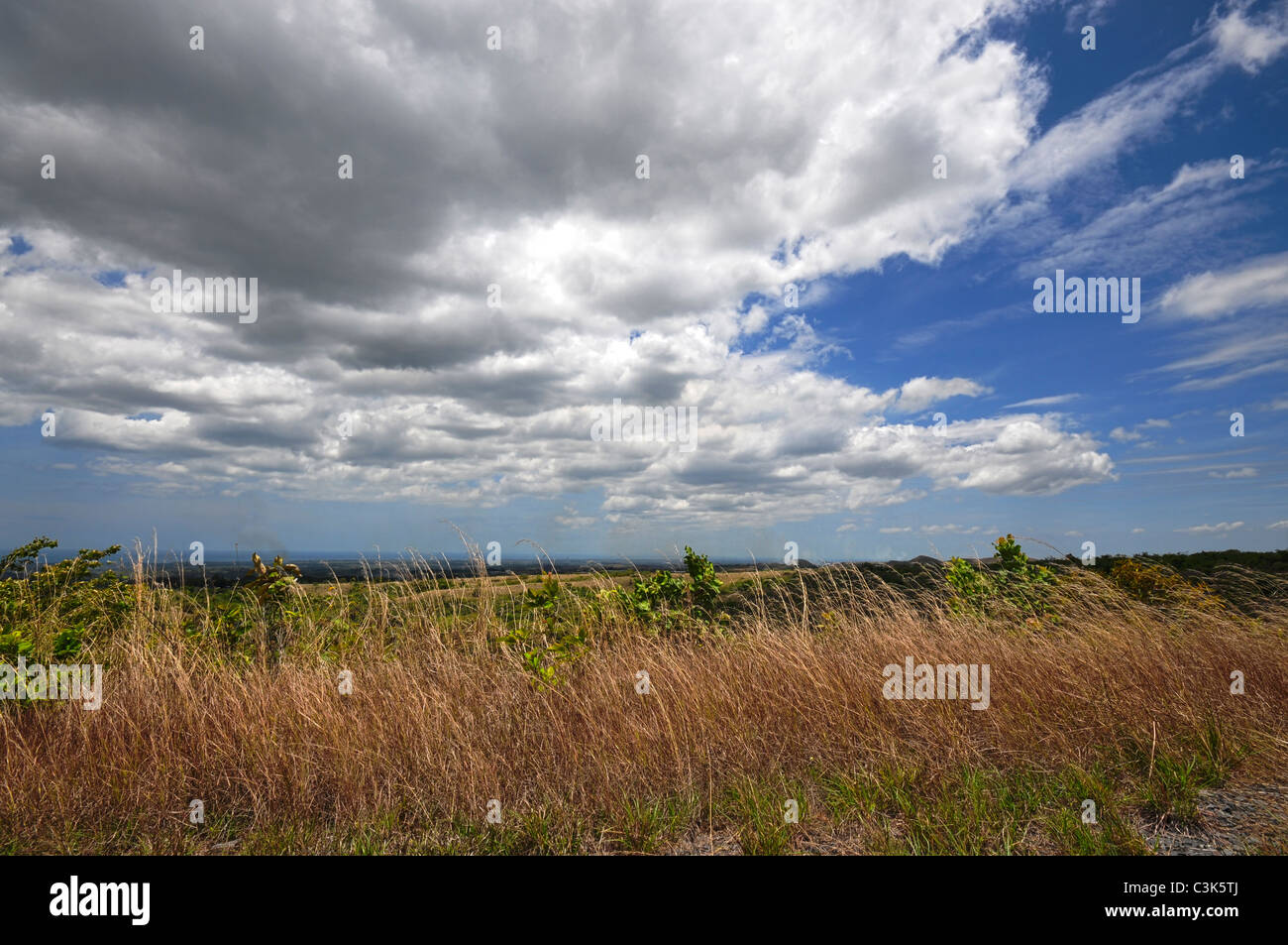 Beautiful mountain view with tall grass and bright blue sky with puffy ...