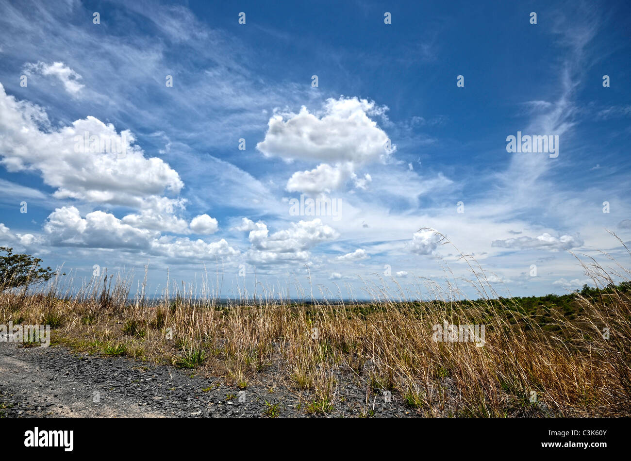 Beautiful mountain view with tall grass and bright blue sky with puffy ...