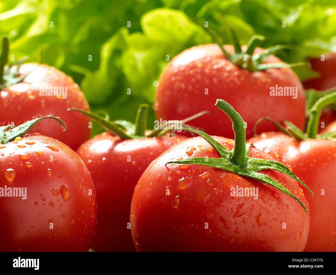 Fresh vine-ripened tomatoes Stock Photo