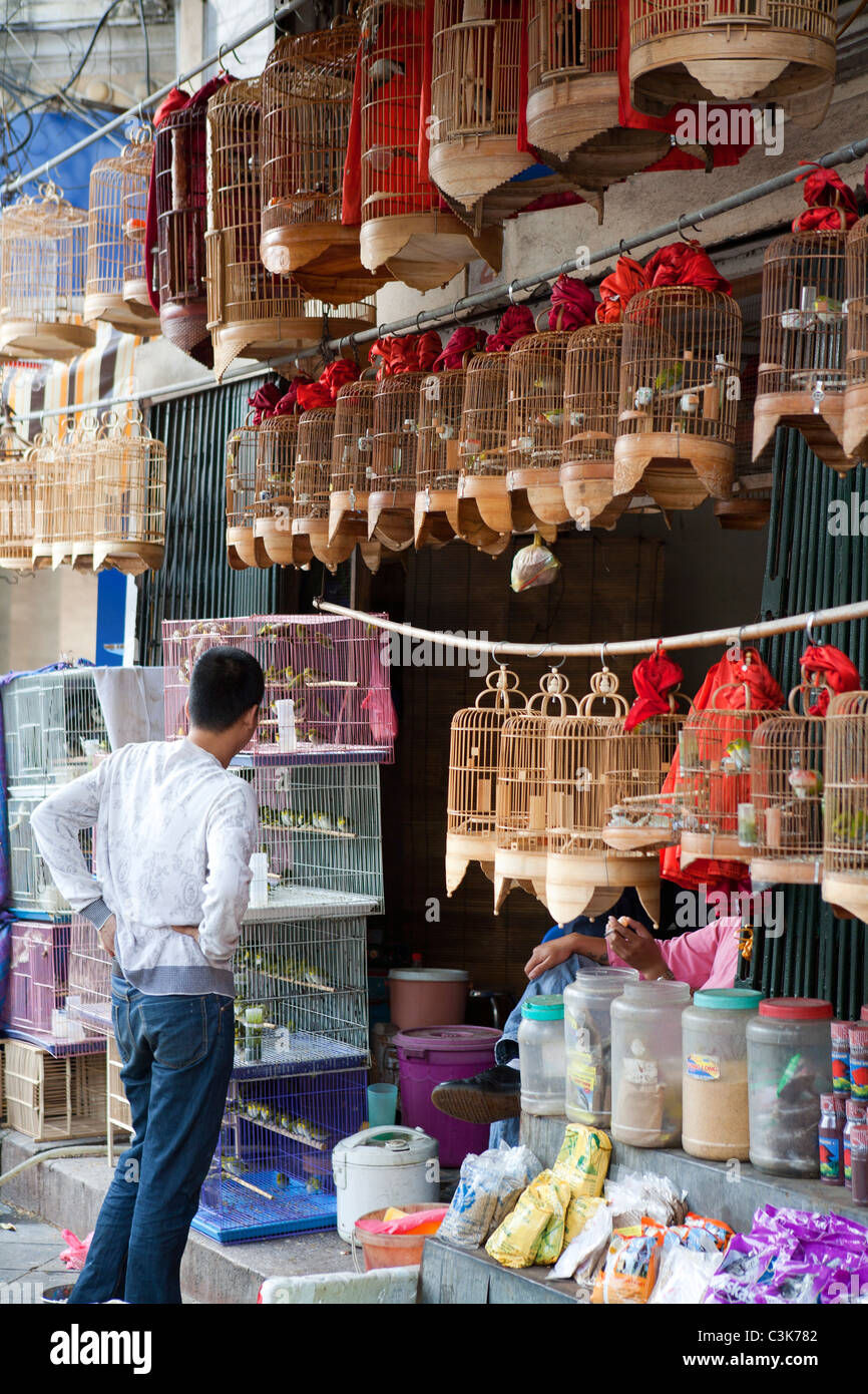 Pet shop in Hanoi's Old Quarter Stock Photo Alamy