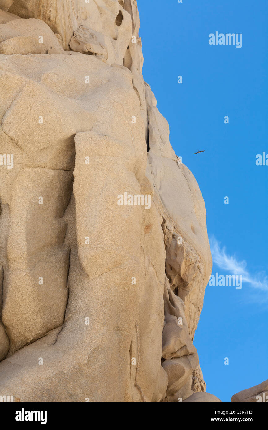 A bird files high above some rocks Stock Photo - Alamy