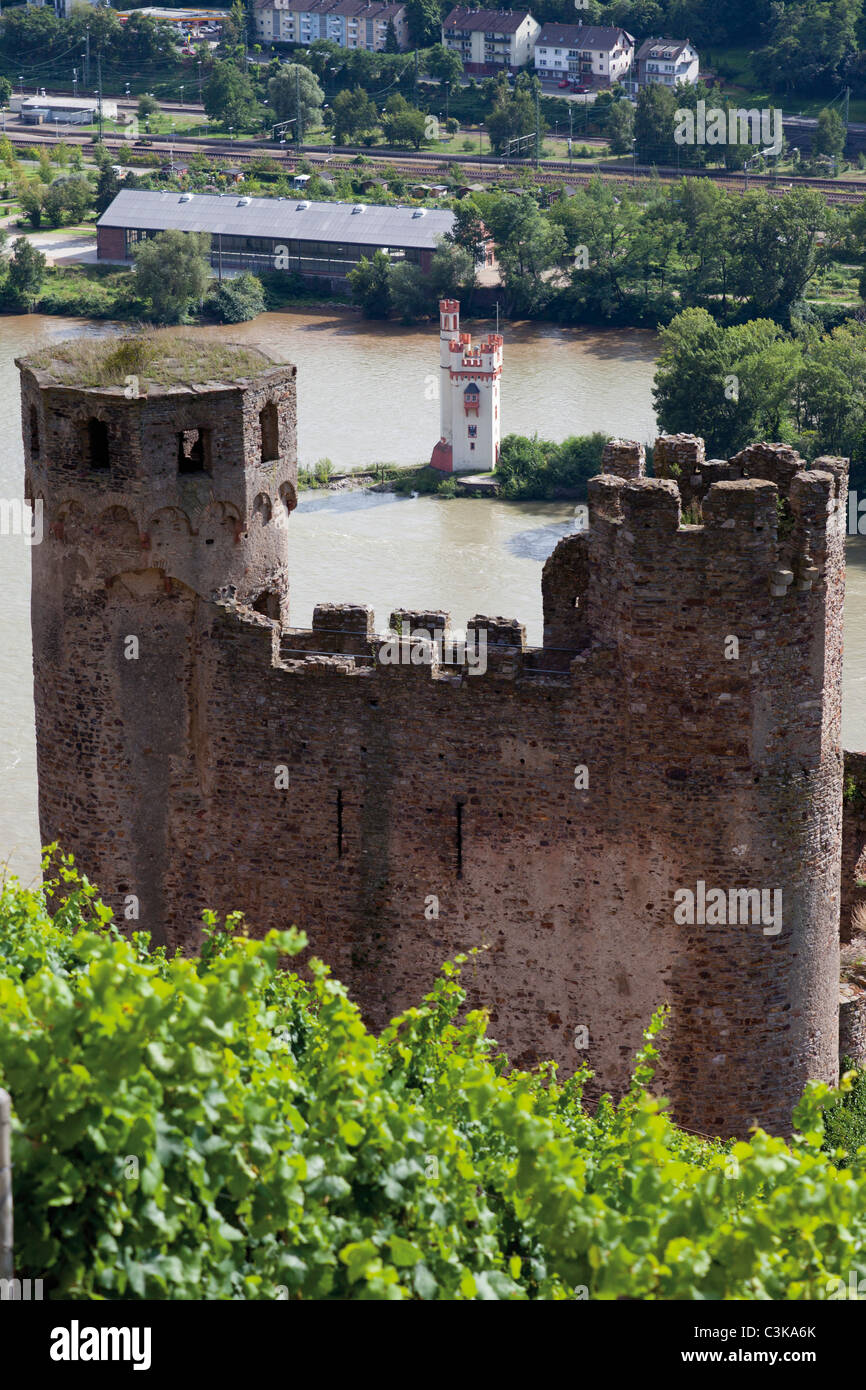 Europe, Germany, Hesse, Upper Middle Rhine Valley, Bingen, View of Ehrenfels Castle near Mouse Tower on the Rhine Stock Photo