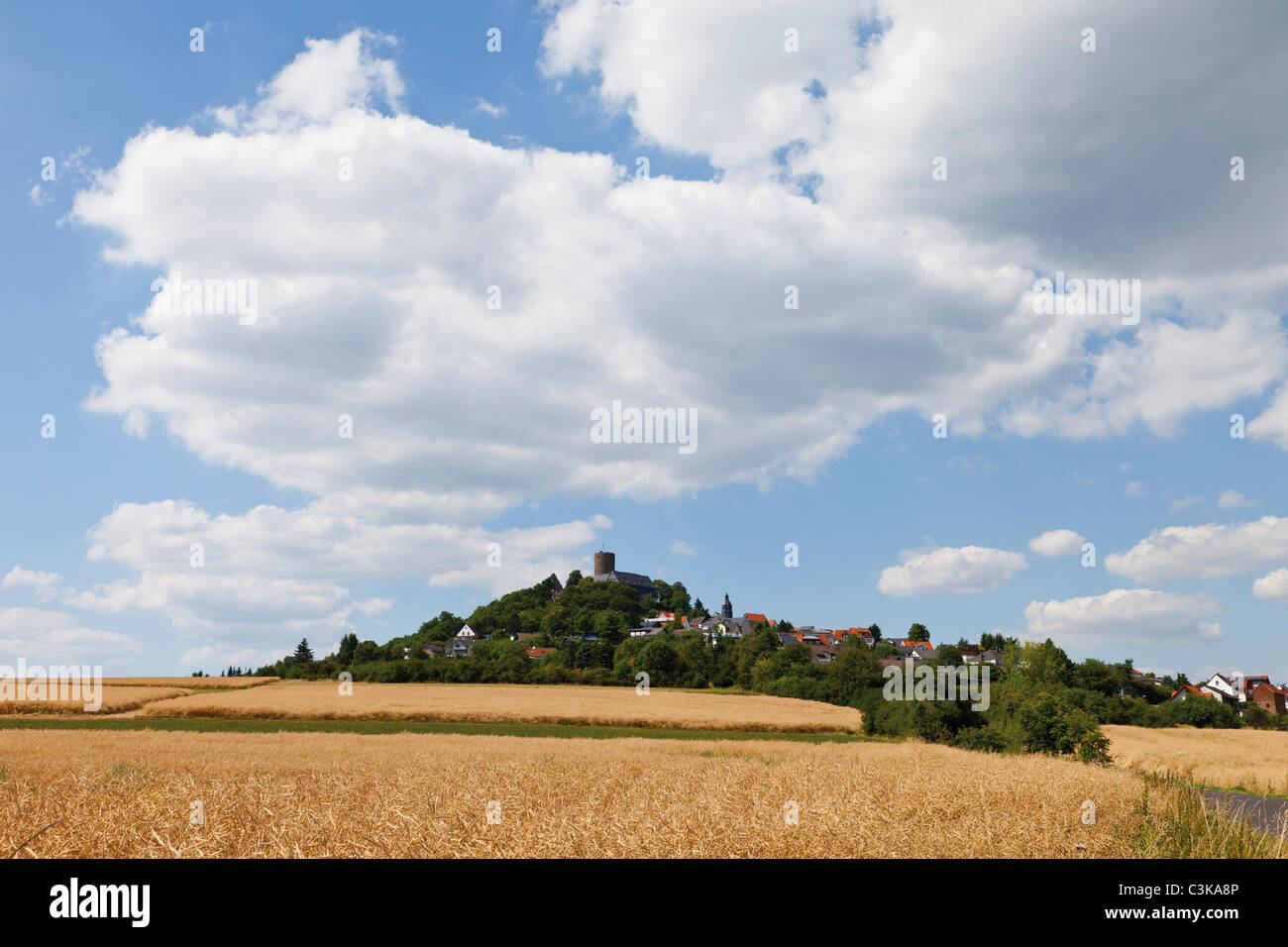 Europe, Germany, Hesse, Giessen, View of medieval castle near town Stock Photo
