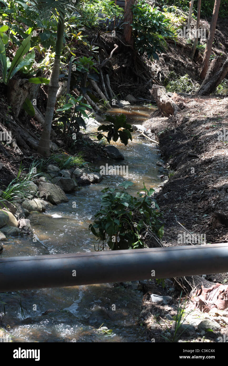 Flowing Water Creek from the Rainfall Stock Photo Alamy