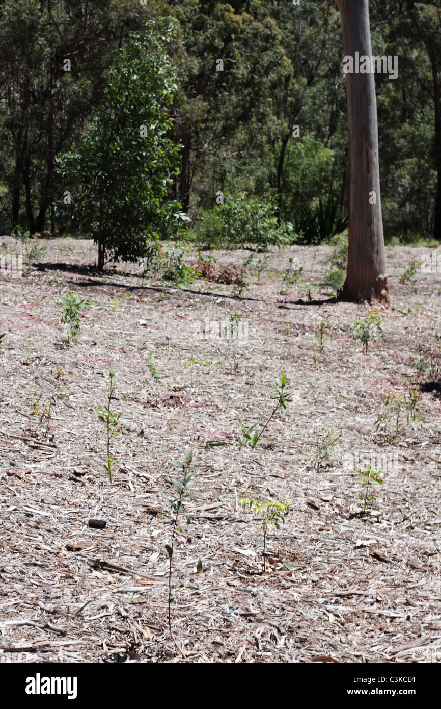 Global warming concepts hires stock photography and images Alamy