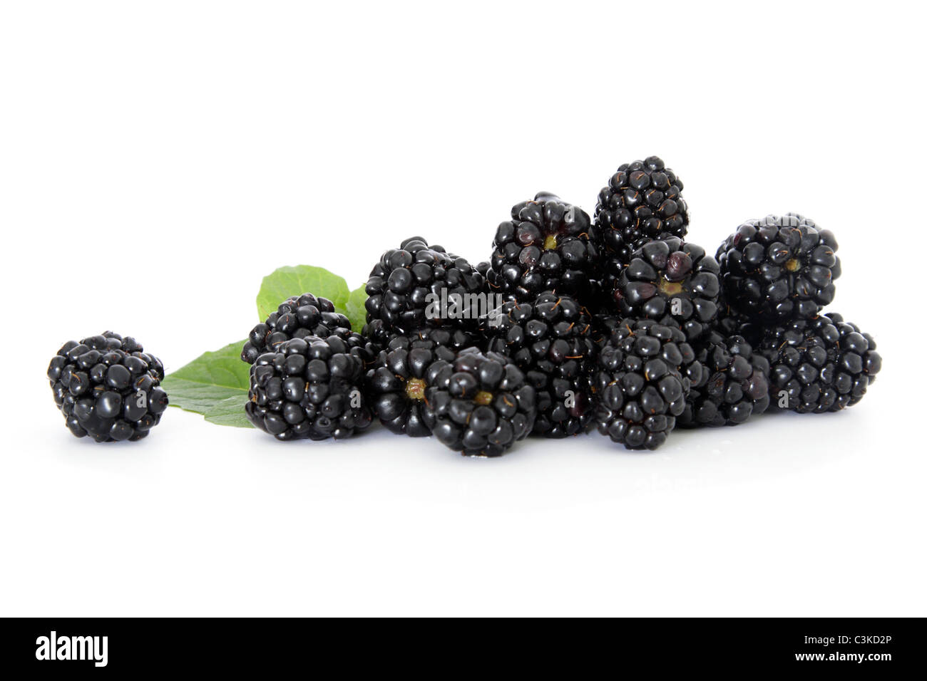 Pile of fine blackberries. All on white background Stock Photo