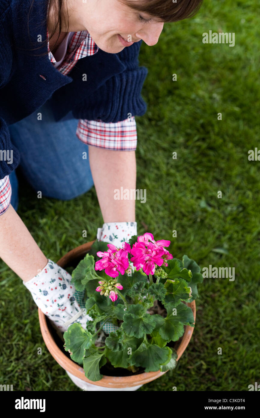 A woman setting a flower in a pot Stock Photo Alamy