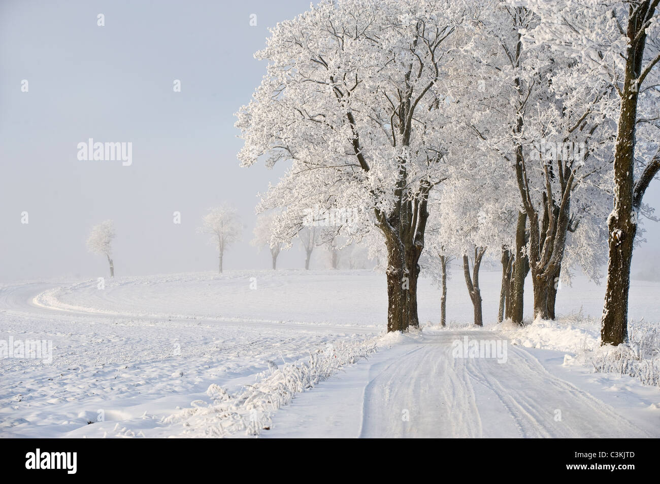 Country road in winter Stock Photo - Alamy