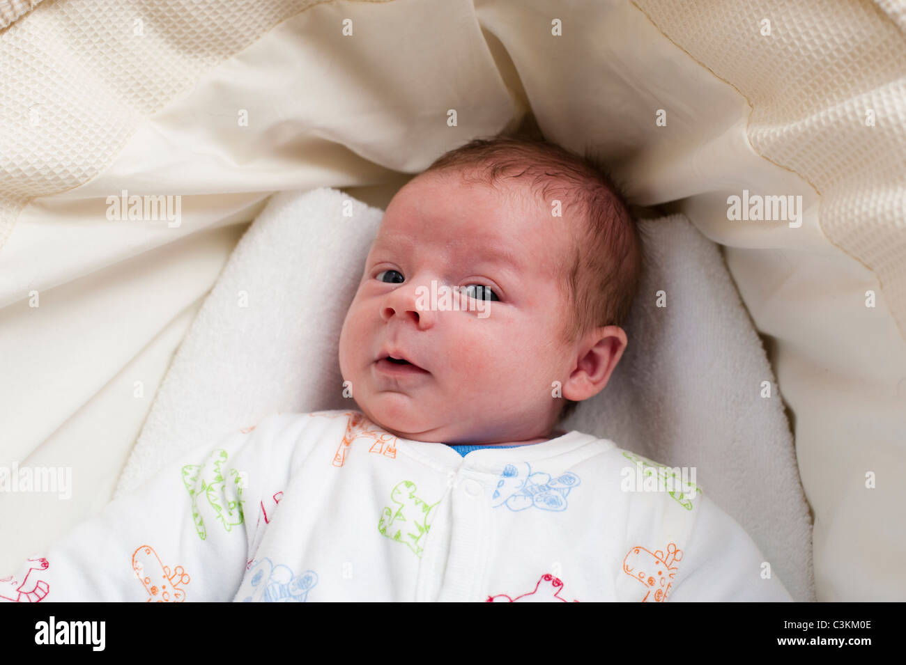 Five weeks old baby boy in crib, UK Stock Photo Alamy