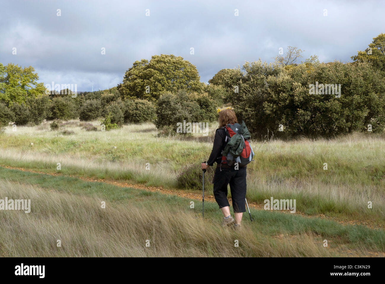 Walker on the pilgrimage route, Camino de Santiago, Northern Spain Stock Photo
