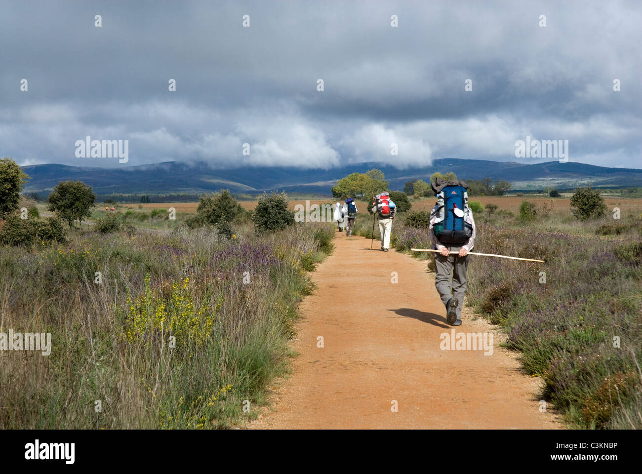 Walkers along the pilgrimage route, Camino de Santiago, Northern Spain Stock Photo Alamy