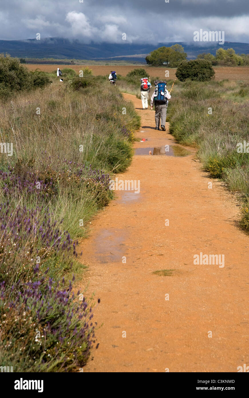 Walkers along the pilgrimage route, Camino de Santiago, Northern Spain Stock Photo Alamy