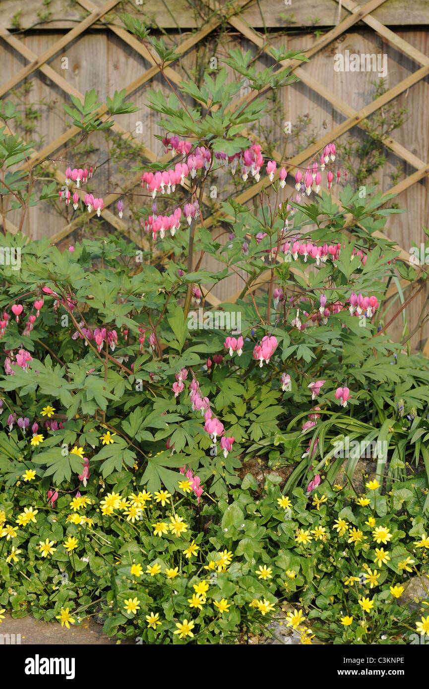 Trellis garden hi-res stock photography and images - Alamy