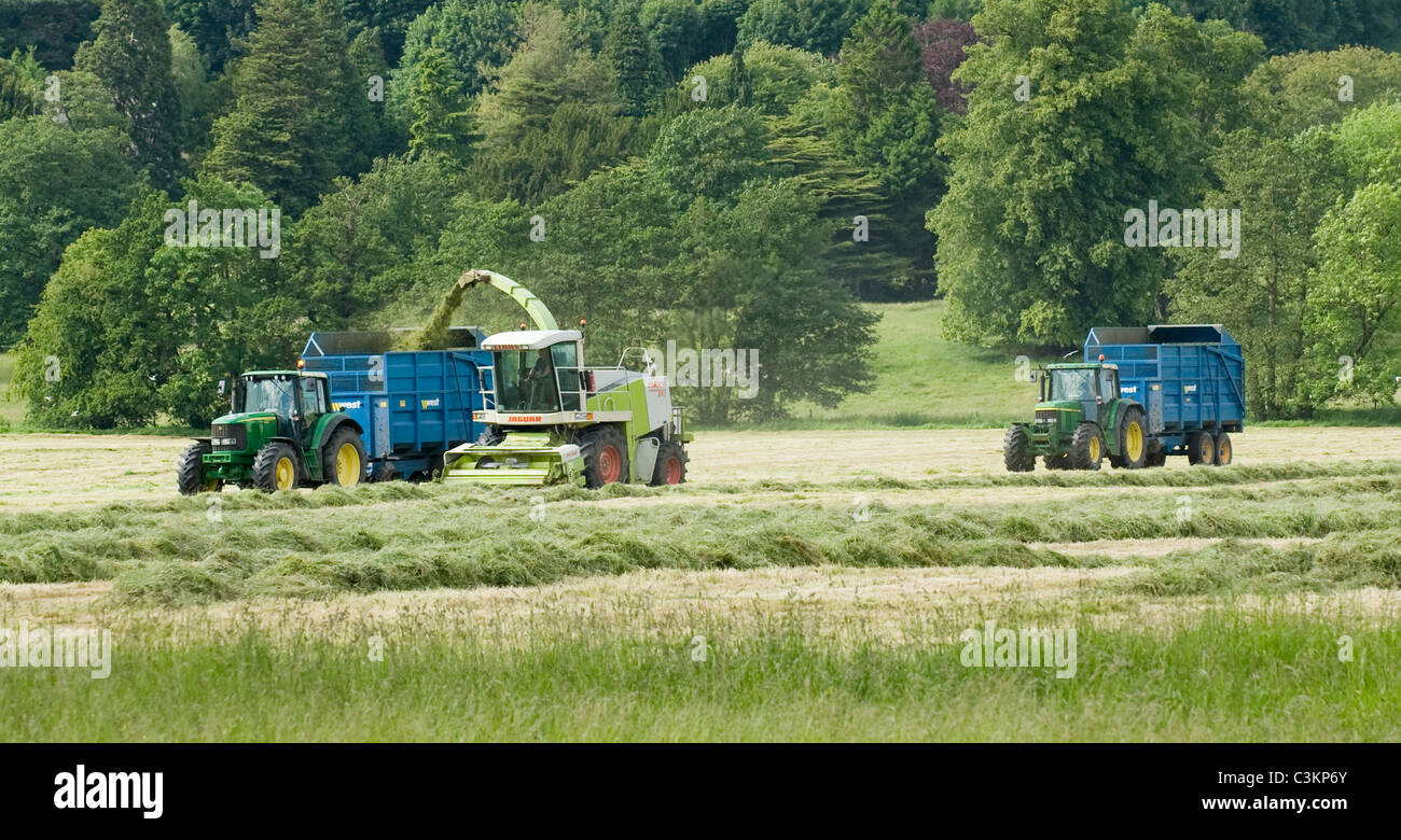 2 John Deere tractors & West trailers working & driving in farm field with Claas forage harvester, loading cut grass (silage) - Yorkshire, England UK. Stock Photo
