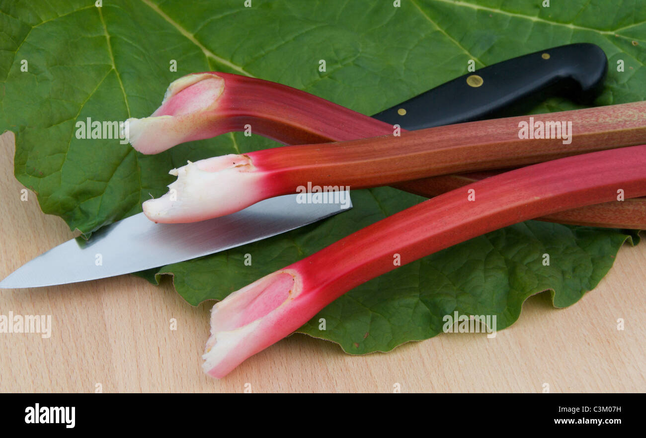 Rhubarb a well loved culinary treat in early springin the UK Stock Photo