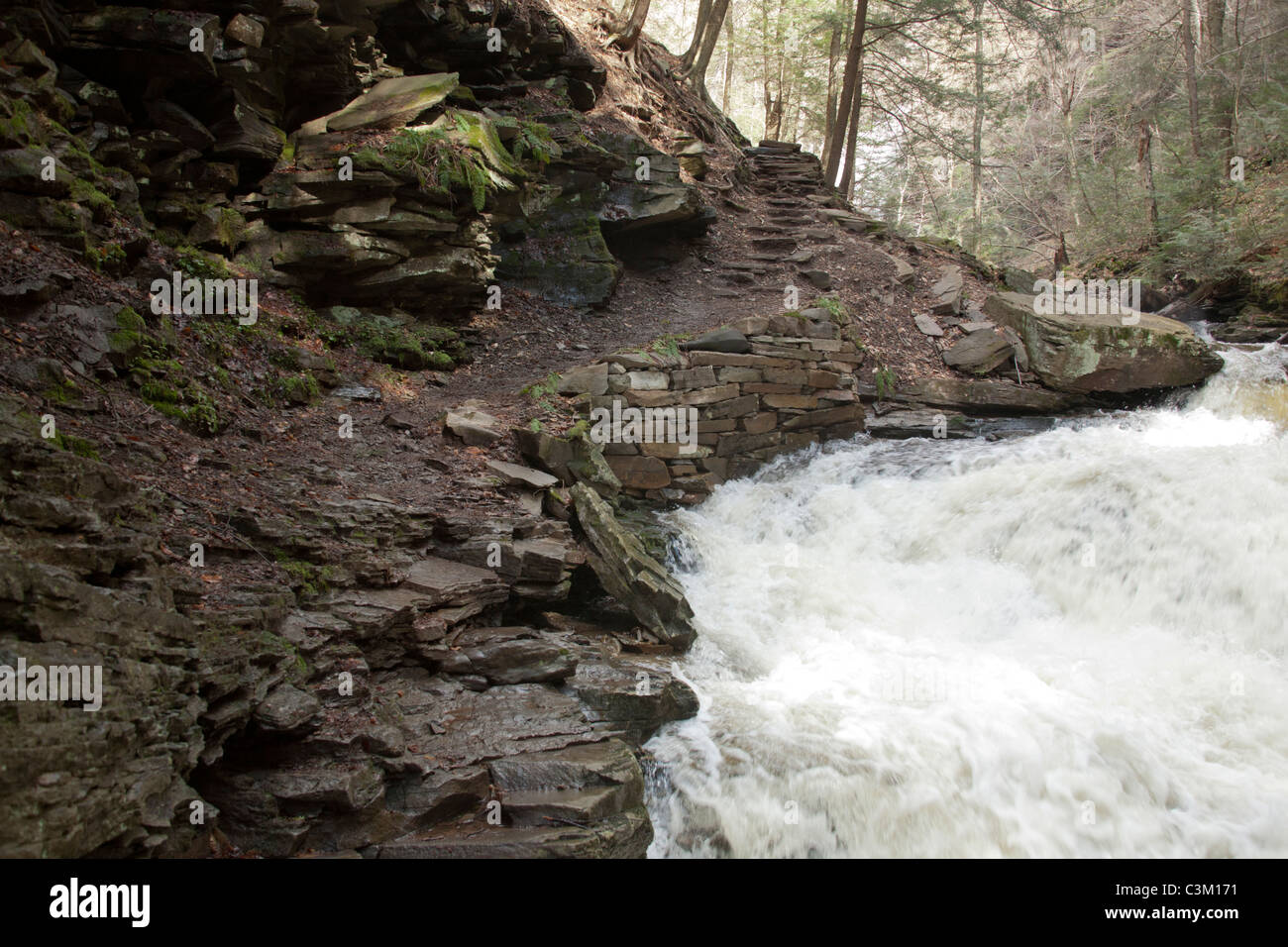 The Falls Trail Kitchen Creek - The Falls Trail Kitchen Creek Ricketts Glen State Park Pennsylvania C3M171 