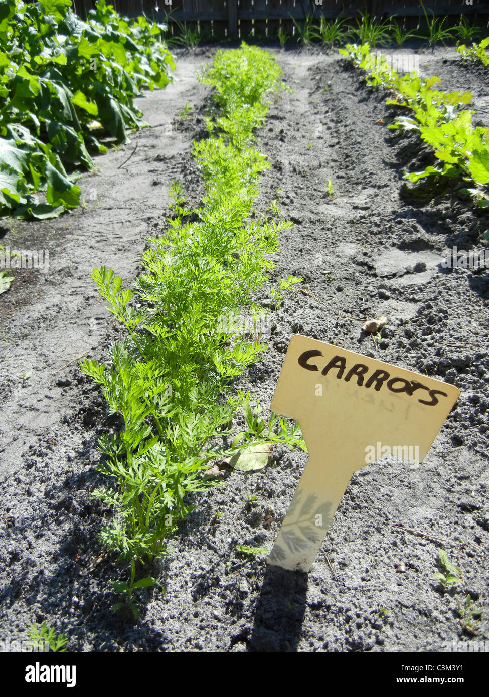 Small home garden specializing in variety of vegetables Stock Photo