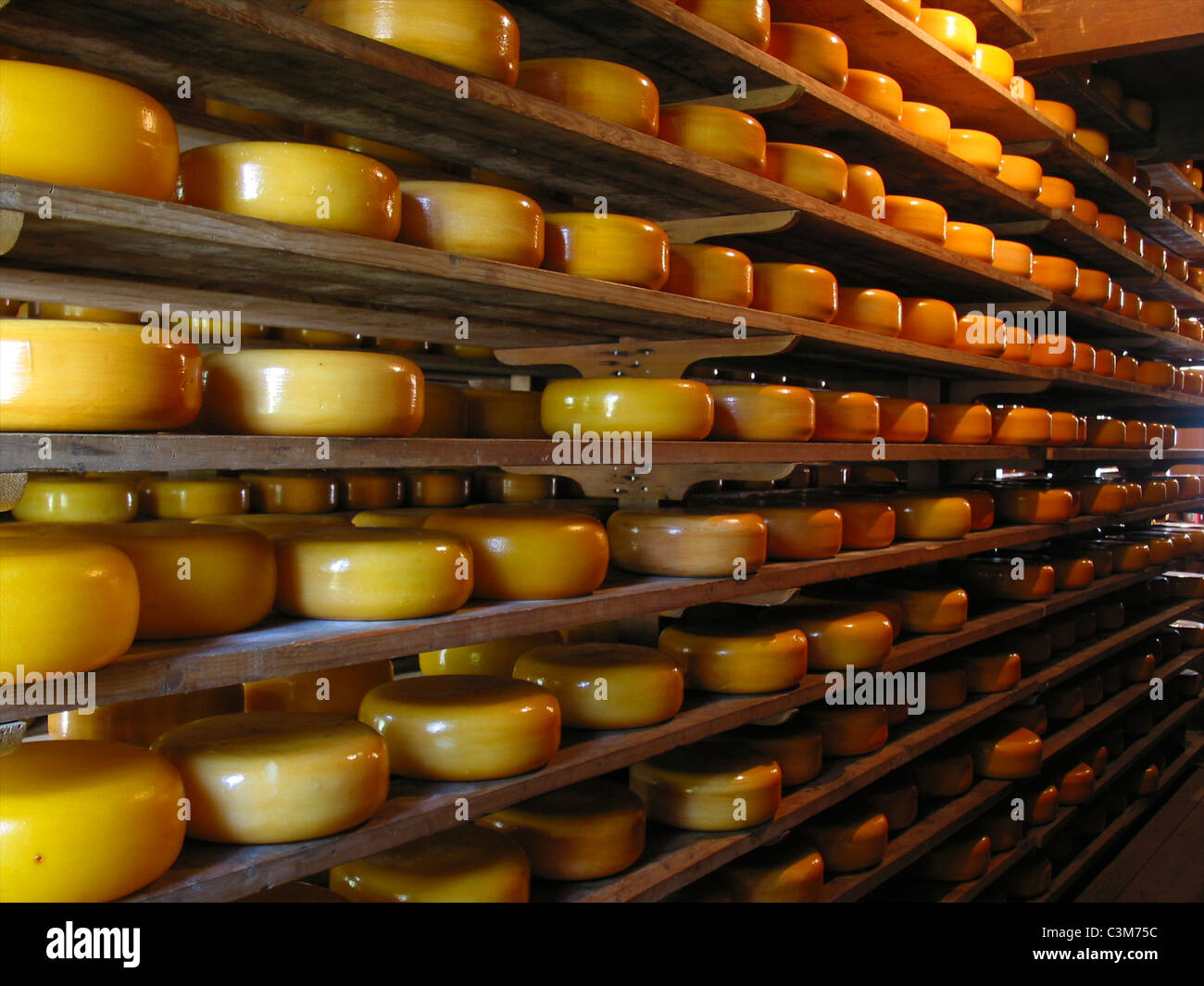 Hoorn cheese hires stock photography and images Alamy