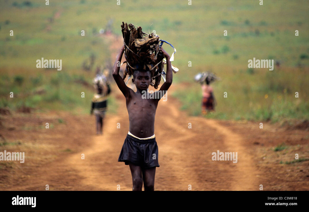 cutting firewood Stock Photo