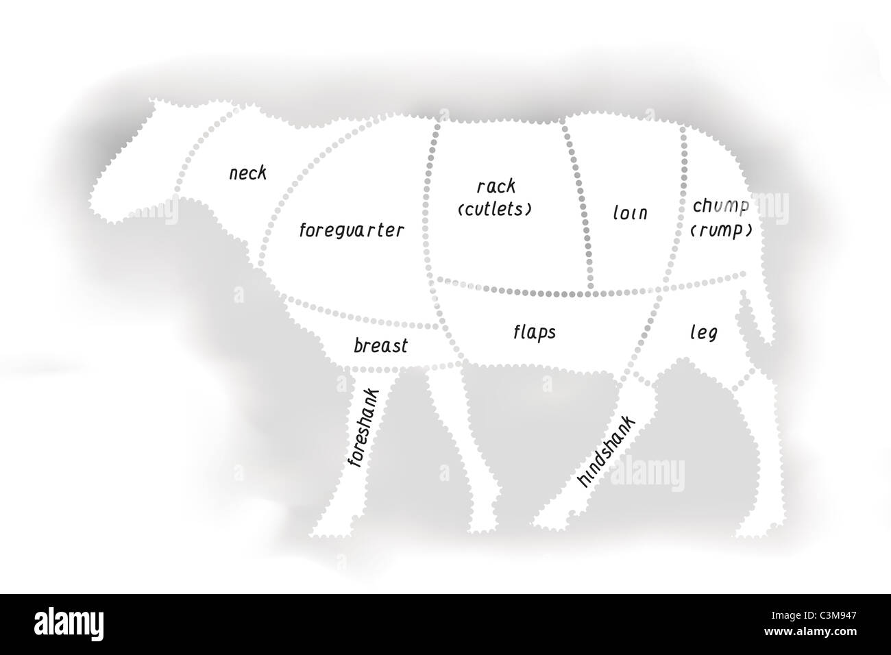 Lamb Meat Diagram Stock Photo