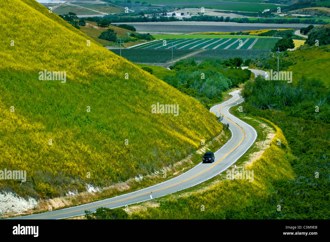 Country road curves through green hills and agriculture valley is Spring, near Lompoc, Santa Barbara County, California Stock Photo