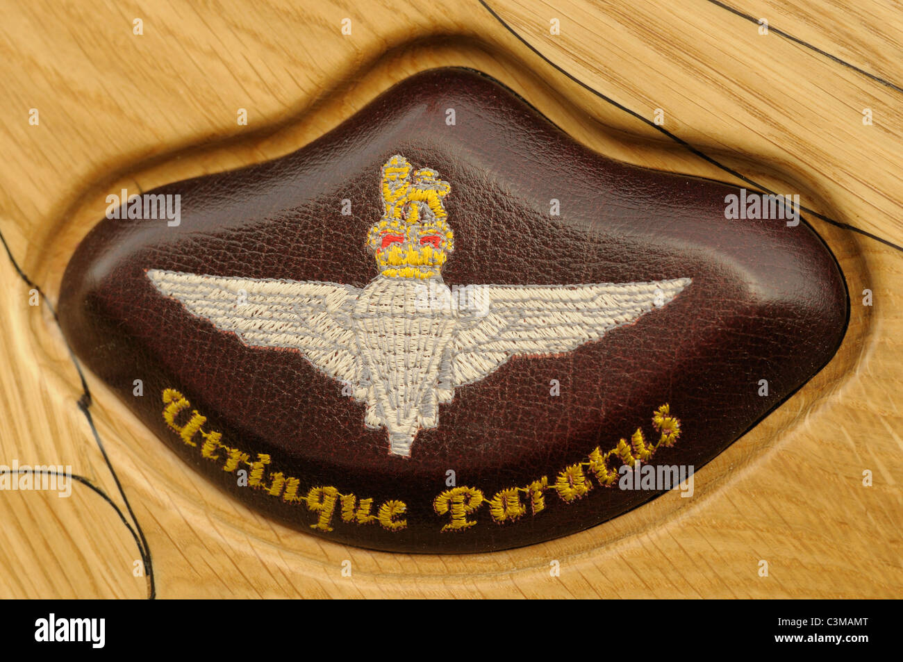An embroidered leather patch on a commemorative plaque bearing the insignia and motto of Britain's Parachute Regiment. Stock Photo
