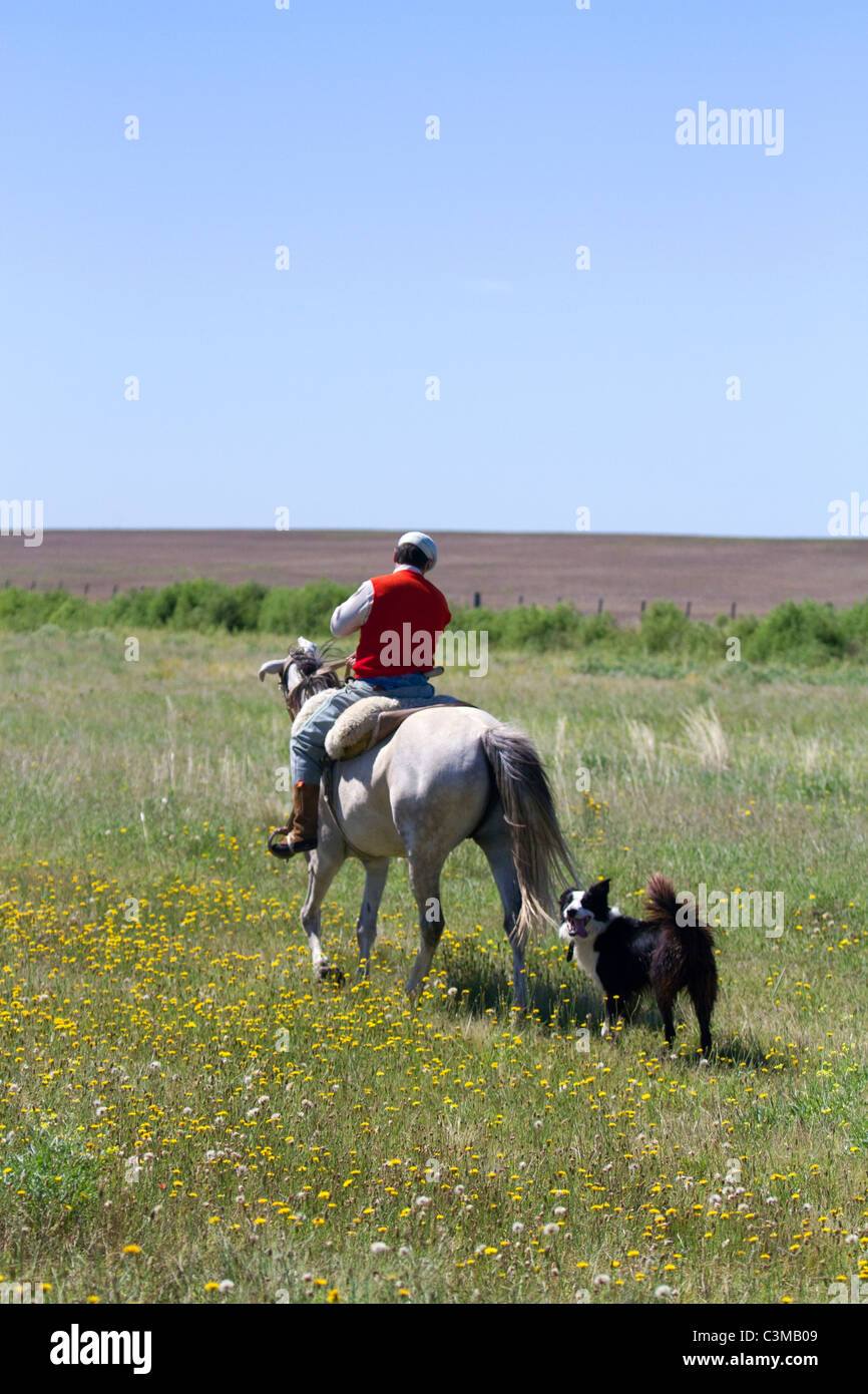 Gaucho riding horseback on the Pampas of Argentina. Stock Photo