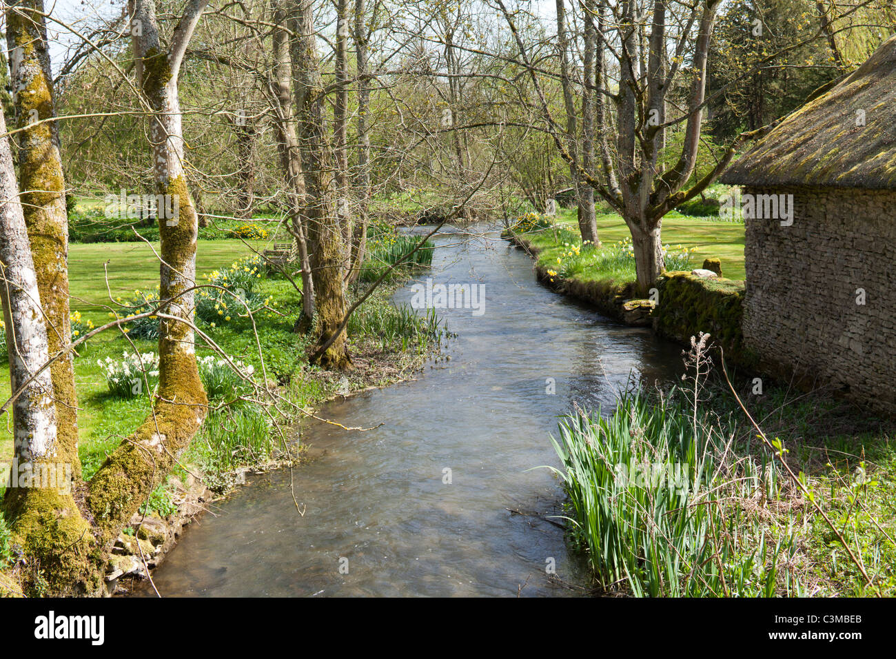 Springtime on the River Coln in the Cotswold village of Winson, Gloucestershire, England UK Stock Photo