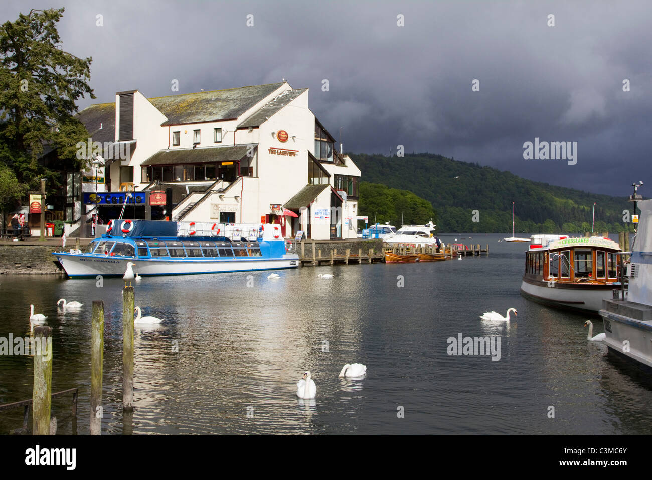 lake windermere birds on beach bowness cumbria lake district england uk
