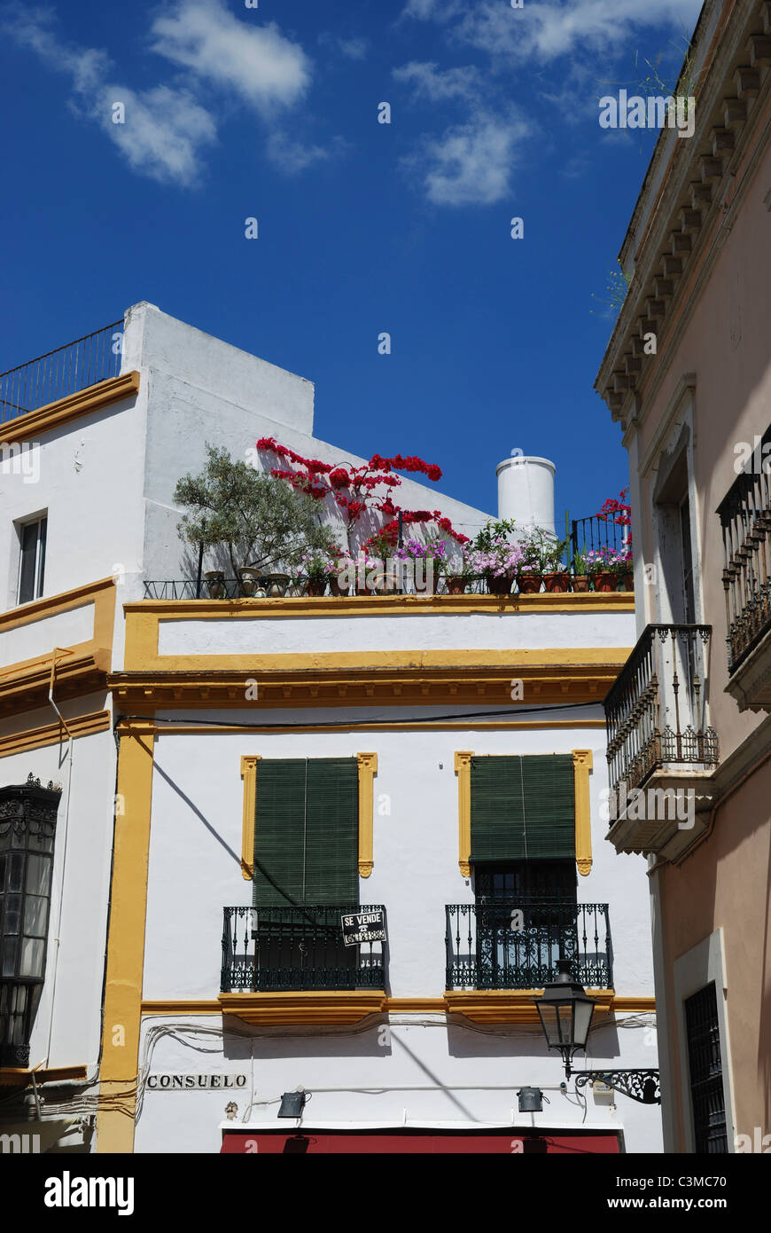 A colourful apartment block with roof garden in Santa Cruz, Seville, Spain. Stock Photo
