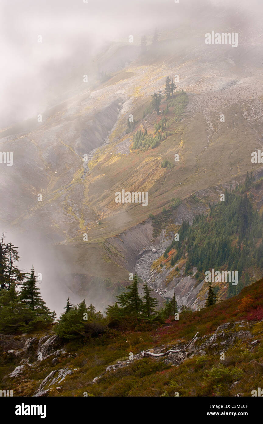 Mist hangs over a meadow in the Mount Baker area of northern Washington. Stock Photo