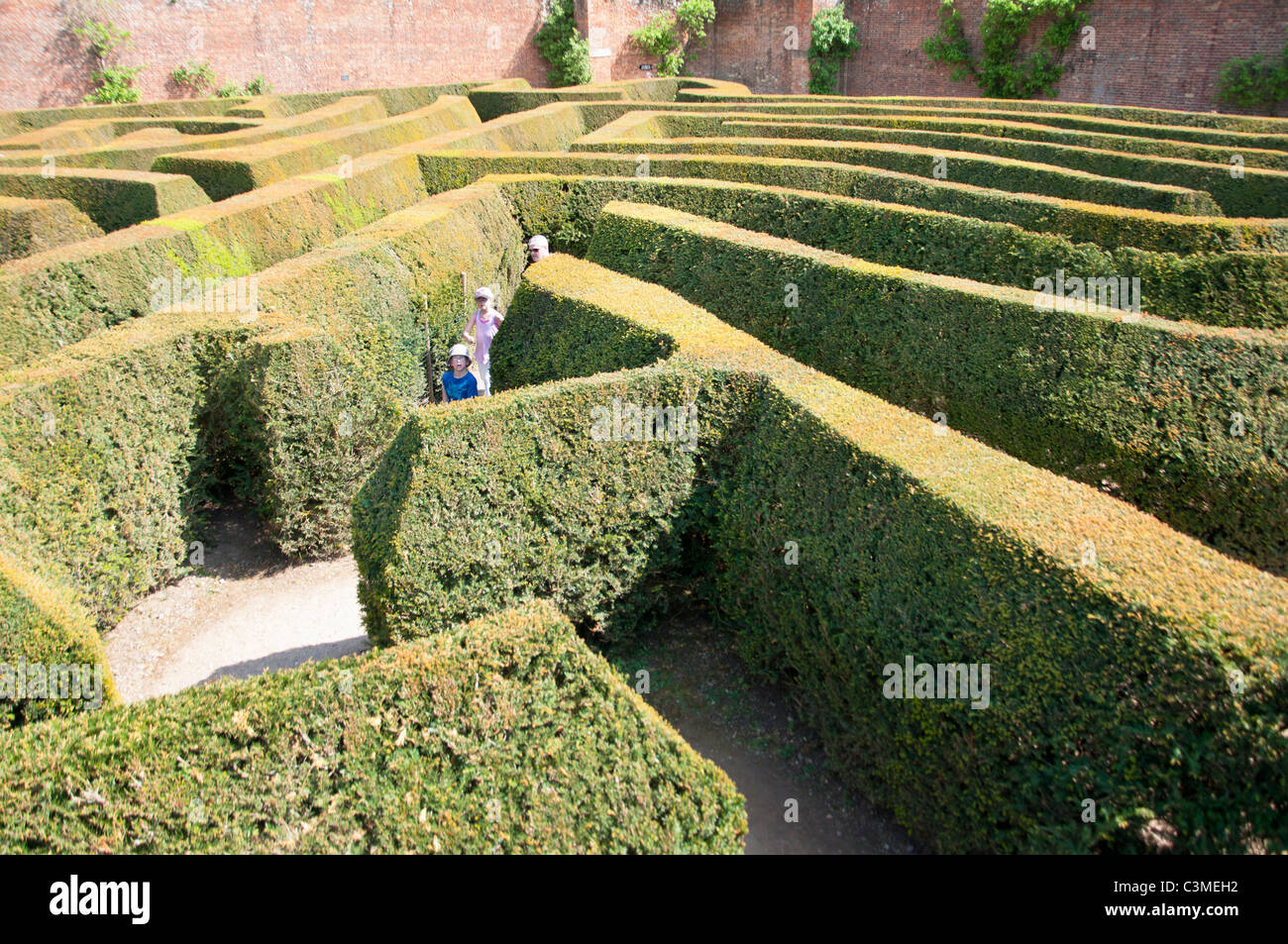 Blenheim palace maze, Oxfordshire, England. Stock Photo