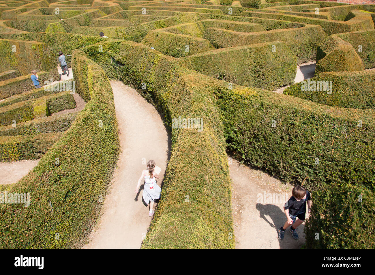 Blenheim palace maze, Oxfordshire, England. Stock Photo