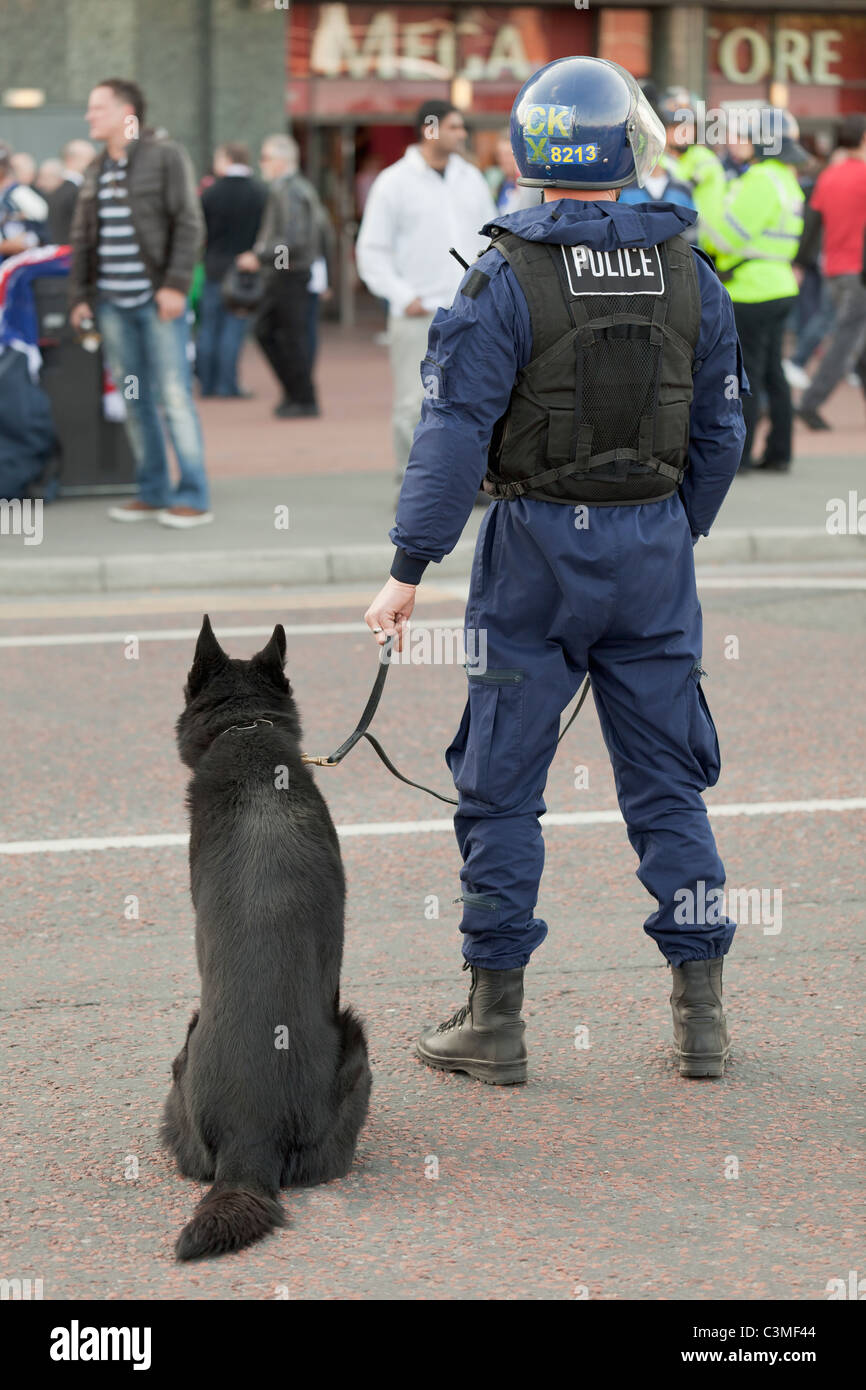 Riot policeman with a dog, England Stock Photo