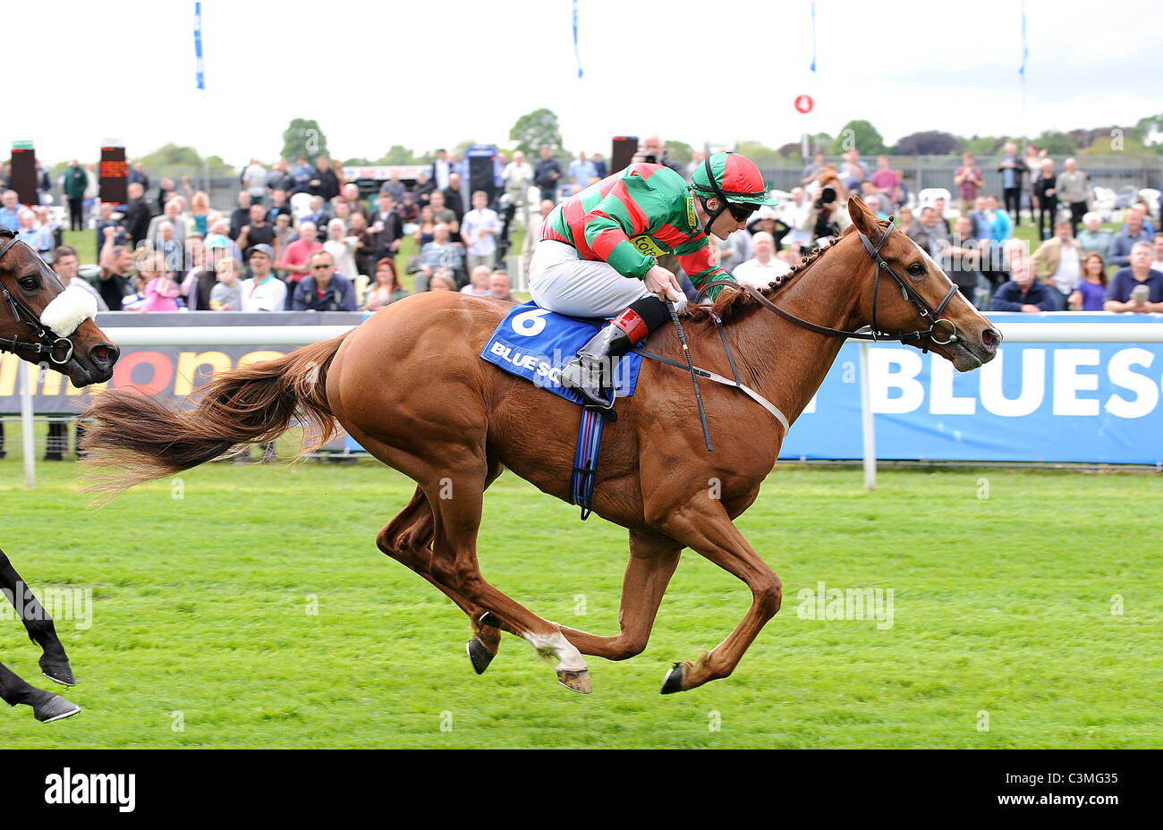 COMMON TOUCH RIDDEN BY FREDERI THE DOWNLOAD THE BLUE SQUARE I YORK RACECOURSE YORK ENGLAND 11 May 2011 Stock Photo