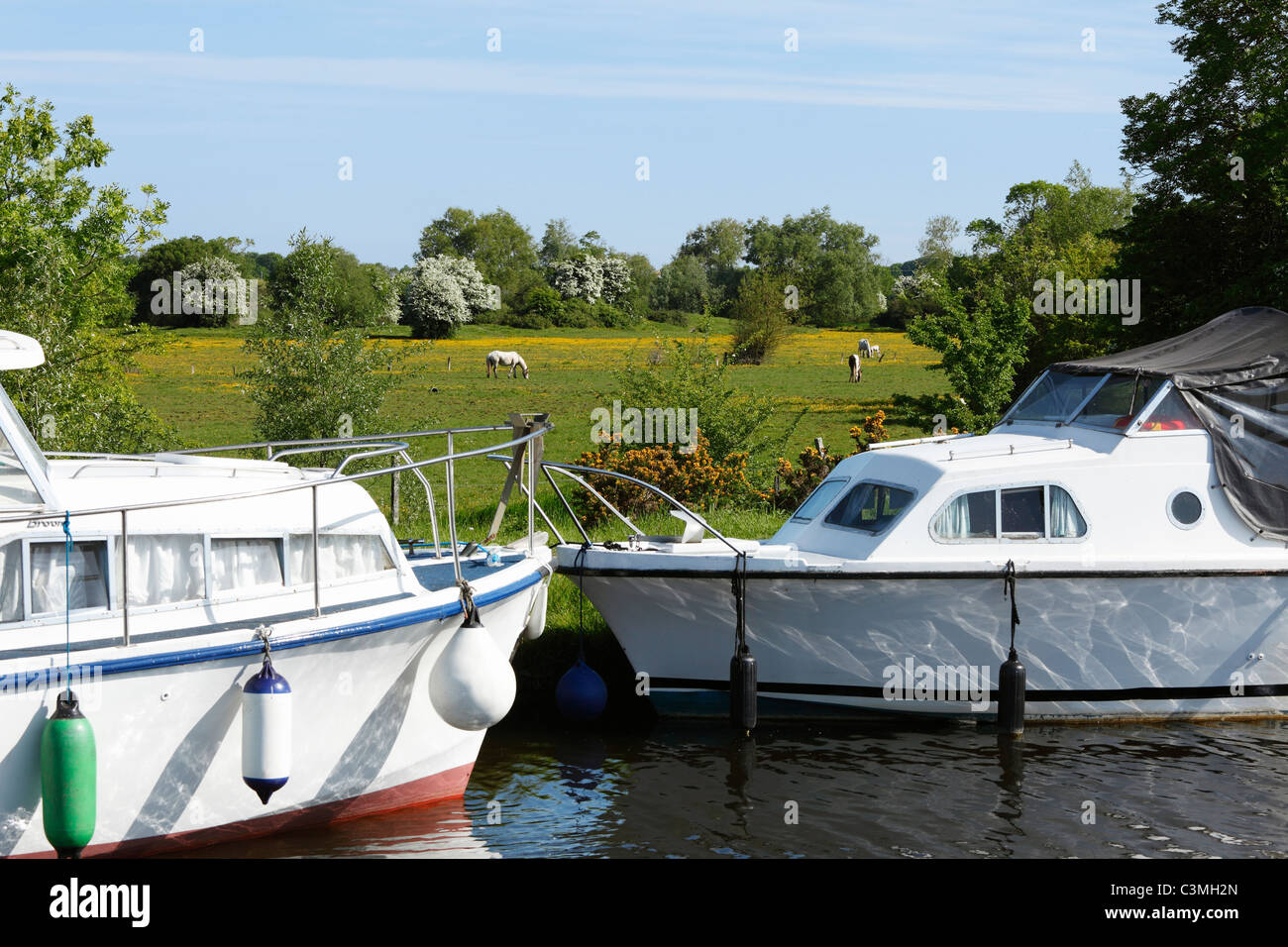 Ireland, Province Leinster, County Offaly, View of boats moored in shannon harbour, Stock Photo