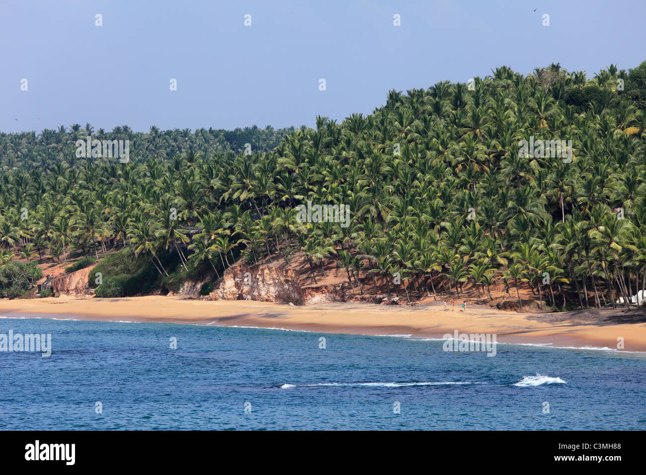 India, South India, Kerala, Malabar Coast, View of beach with palm trees near Kovalam Stock