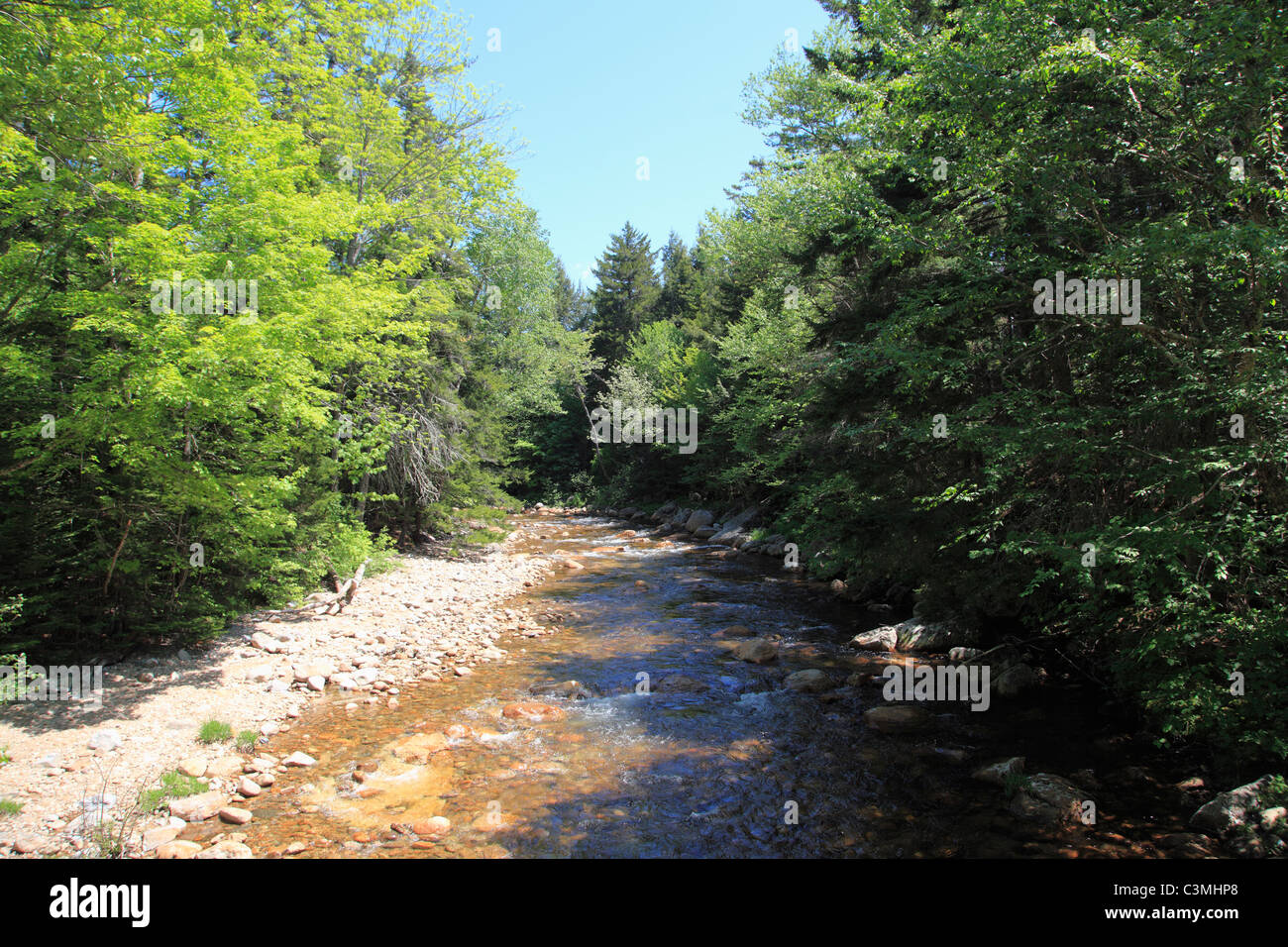 Mad River, Waterville Valley, New Hampshire, New England, USA Stock Photo Alamy
