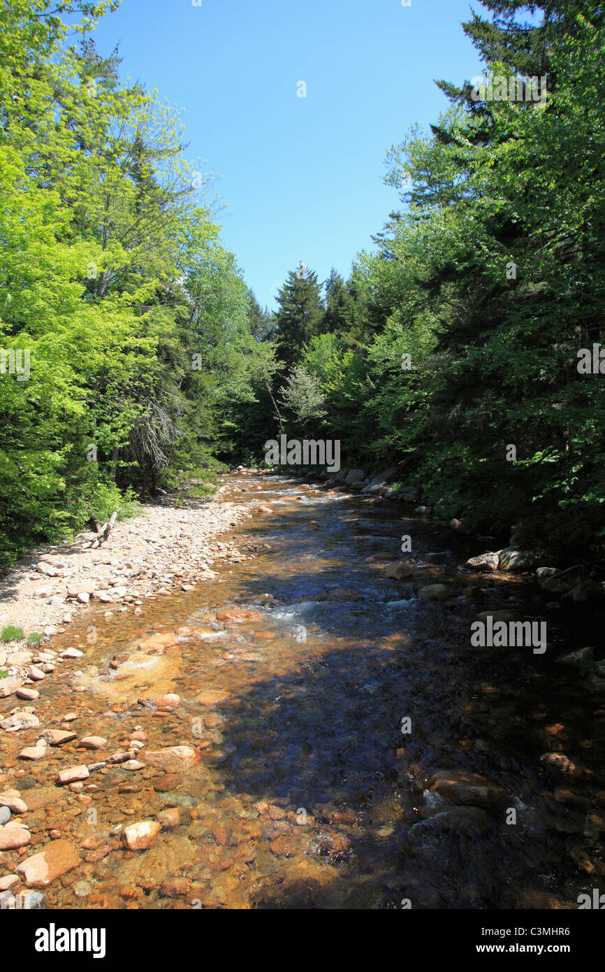Mad River, Waterville Valley, New Hampshire, New England, USA Stock Photo Alamy
