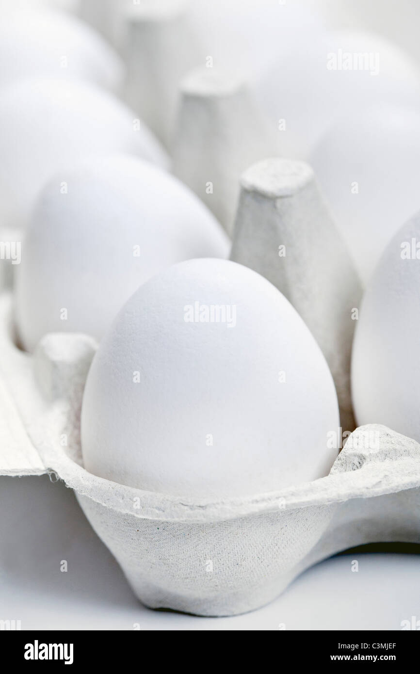 Eggs in egg carton Stock Photo Alamy